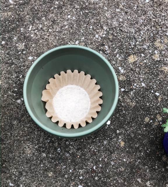 coffee filter in the bottom of a plant pot