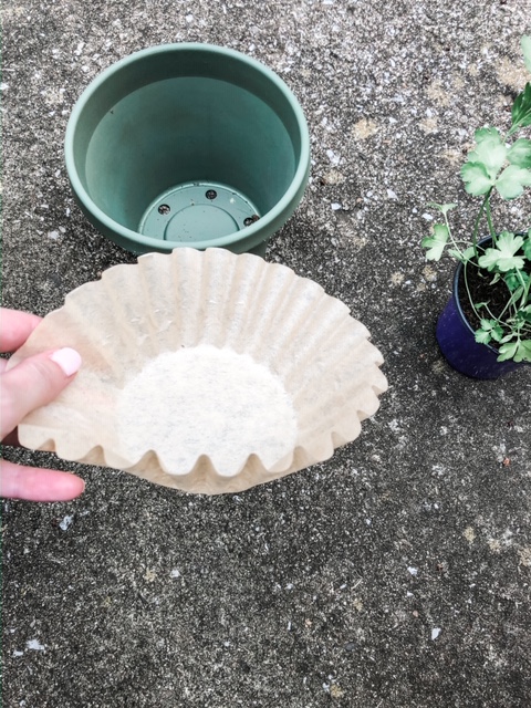 coffee filter in the bottom of a plant pot